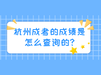 杭州成考的成績是怎么查詢的?